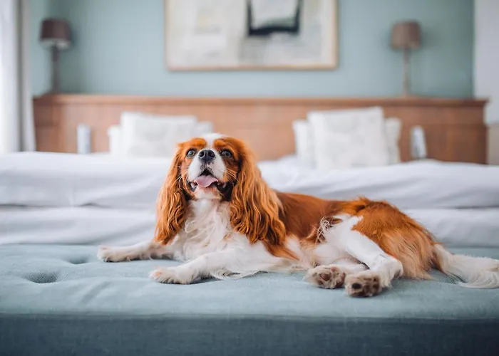 Ξενοδοχείο Art